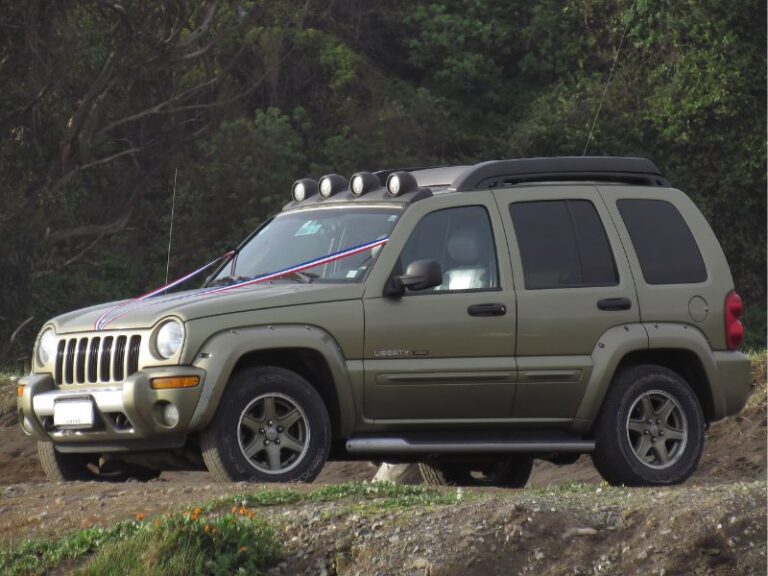 COMMON PROBLEMS WITH 2004 JEEP LIBERTY visual data 2