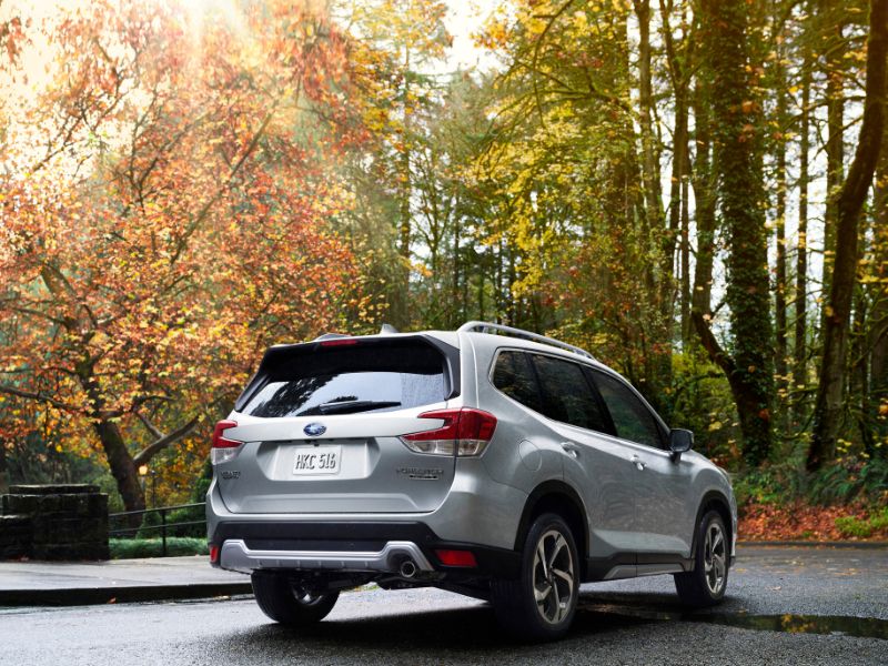 2022 subaru forester in autum backdrop