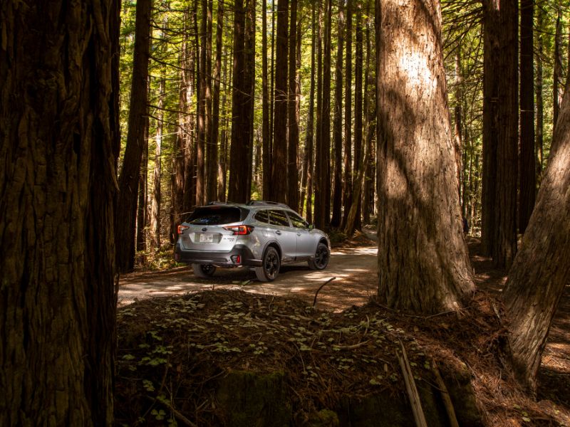2022 silver subaru outback onyx driving through the woods