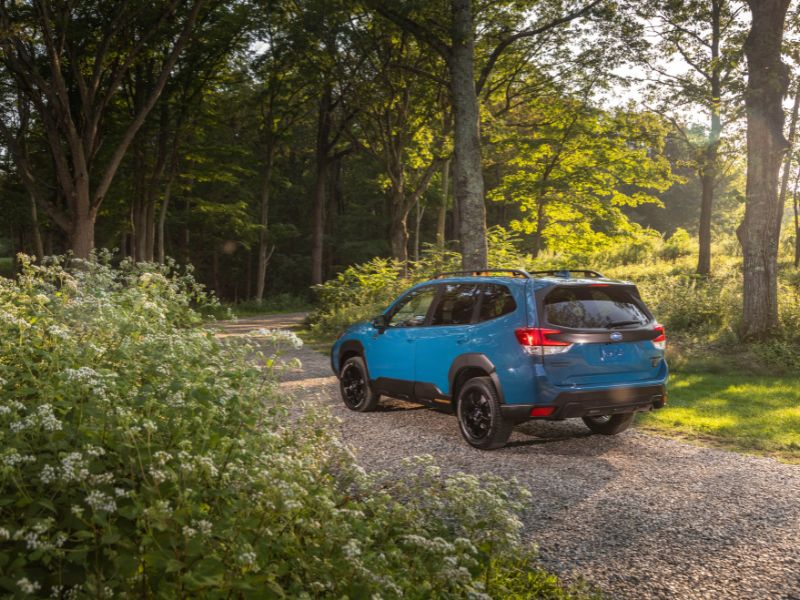 2023 blue subaru forester wild edition driving on a narrow gravel path through a forest
